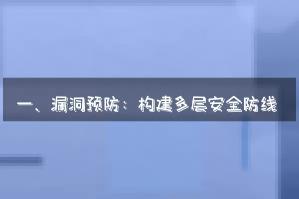 一、漏洞预防：构建多层安全防线