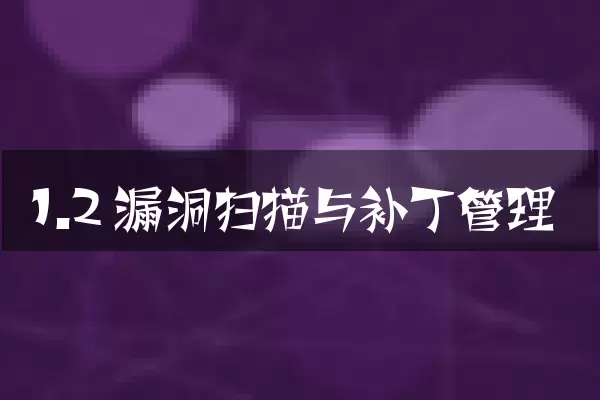 1.2 漏洞扫描与补丁管理