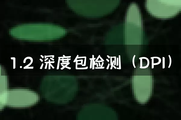 1.2 深度包检测（DPI）