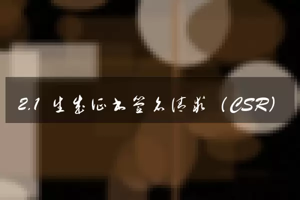 2.1 生成证书签名请求（CSR）