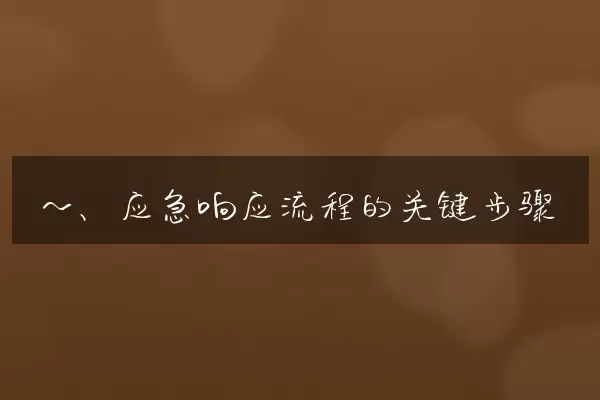 一、应急响应流程的关键步骤
