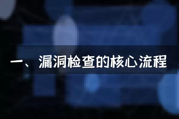 一、漏洞检查的核心流程