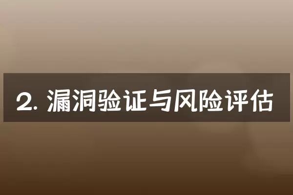 2. 漏洞验证与风险评估