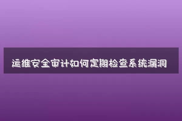 运维安全审计如何定期检查系统漏洞