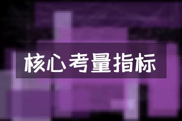 核心考量指标