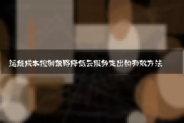 运维成本控制策略降低云服务支出的有效方法