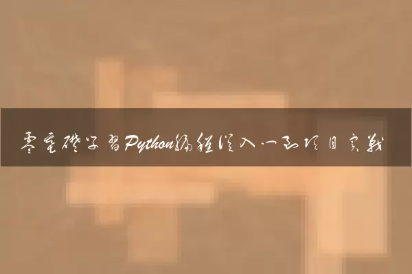 零基础学习Python编程从入门到项目实战