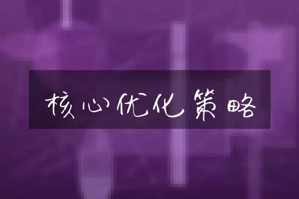 核心优化策略