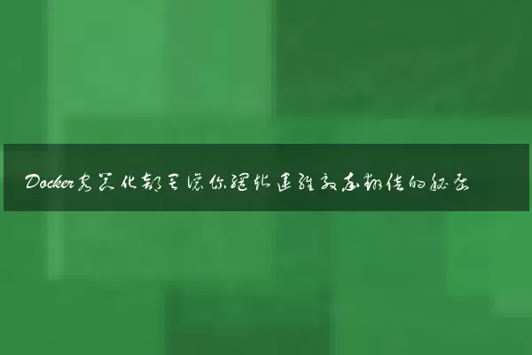 Docker容器化部署让你网站运维效率翻倍的秘密