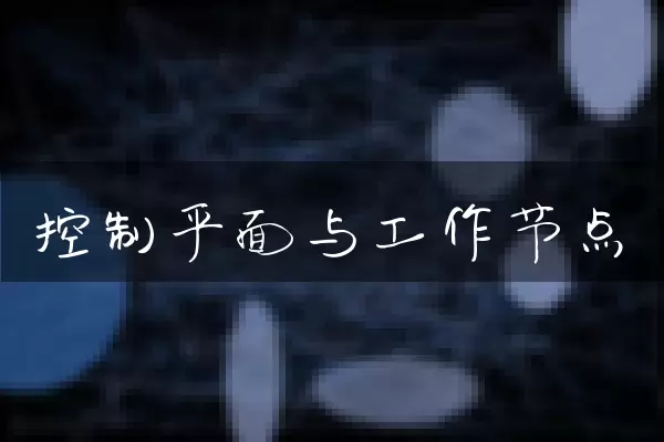 控制平面与工作节点