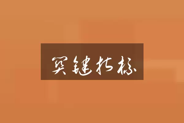 关键指标