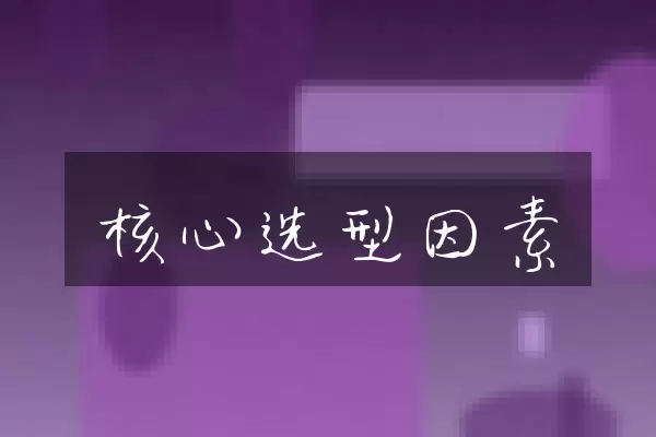 核心选型因素