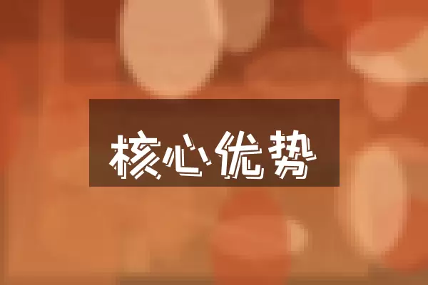 核心优势