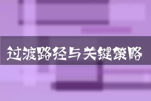 过渡路径与关键策略