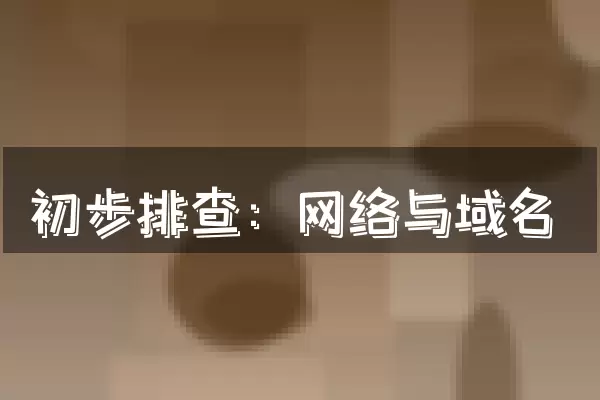 初步排查：网络与域名