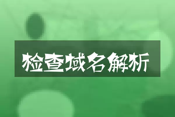 检查域名解析