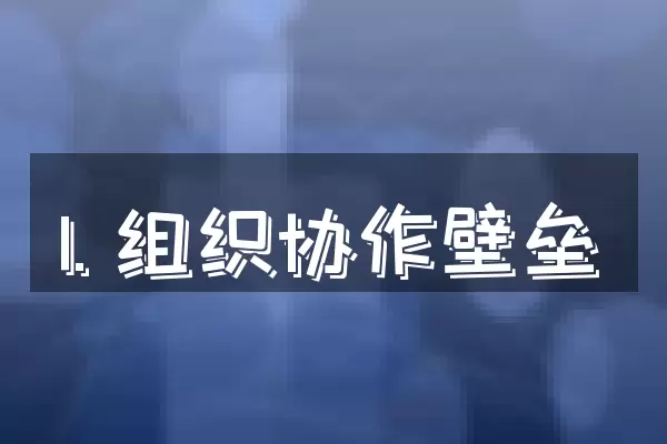 1. 组织协作壁垒