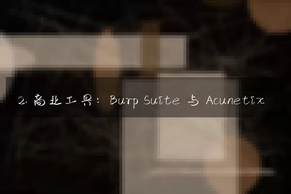 2. 商业工具：Burp Suite 与 Acunetix