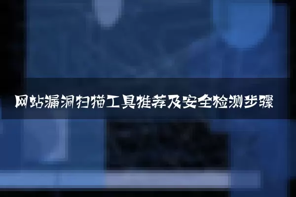 网站漏洞扫描工具推荐及安全检测步骤