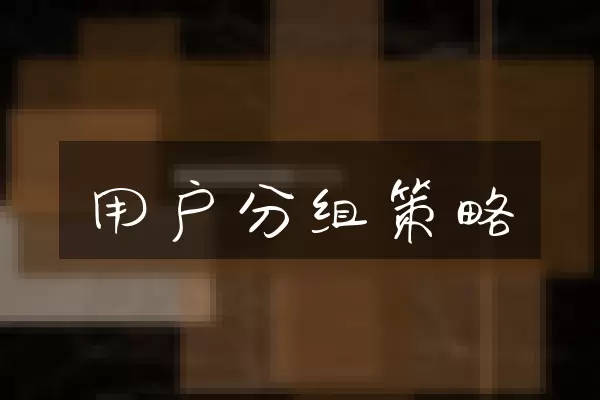 用户分组策略