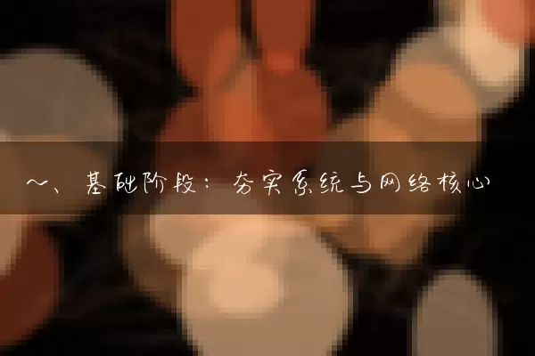 一、基础阶段：夯实系统与网络核心