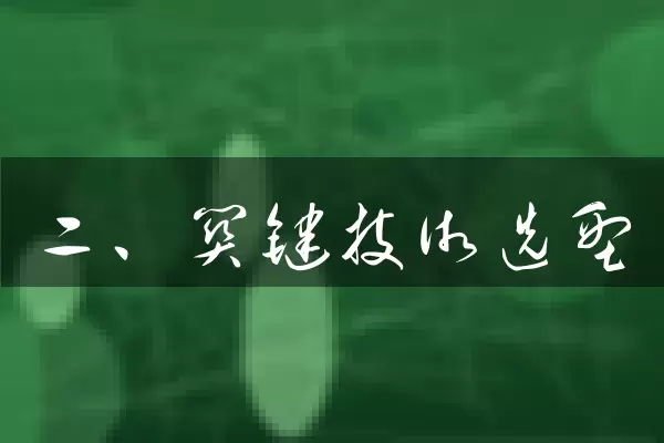 二、关键技术选型