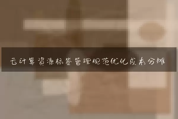 云计算资源标签管理规范优化成本分摊