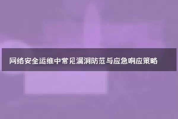 网络安全运维中常见漏洞防范与应急响应策略