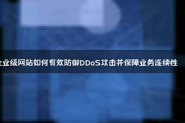 企业级网站如何有效防御DDoS攻击并保障业务连续性