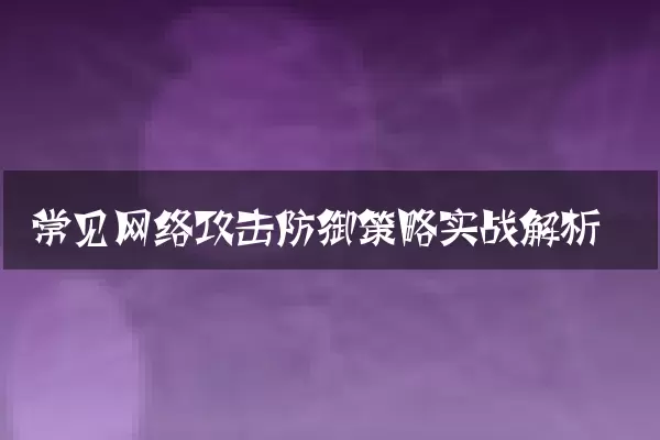 常见网络攻击防御策略实战解析