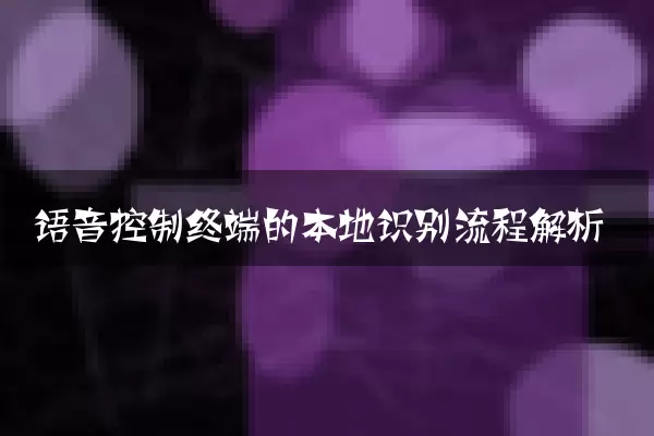 语音控制终端的本地识别流程解析